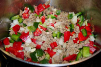 Turkey and vegetable mixture.