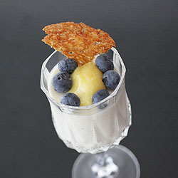 Sour Cream Anise Panna Cotta with Lace Cookies (Daring Bakers February)