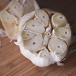 Roasted Garlic (WFMW)