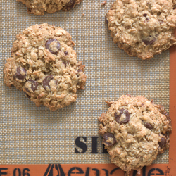 Coconut and Dark Chocolate Chip Oatmeal Cookies